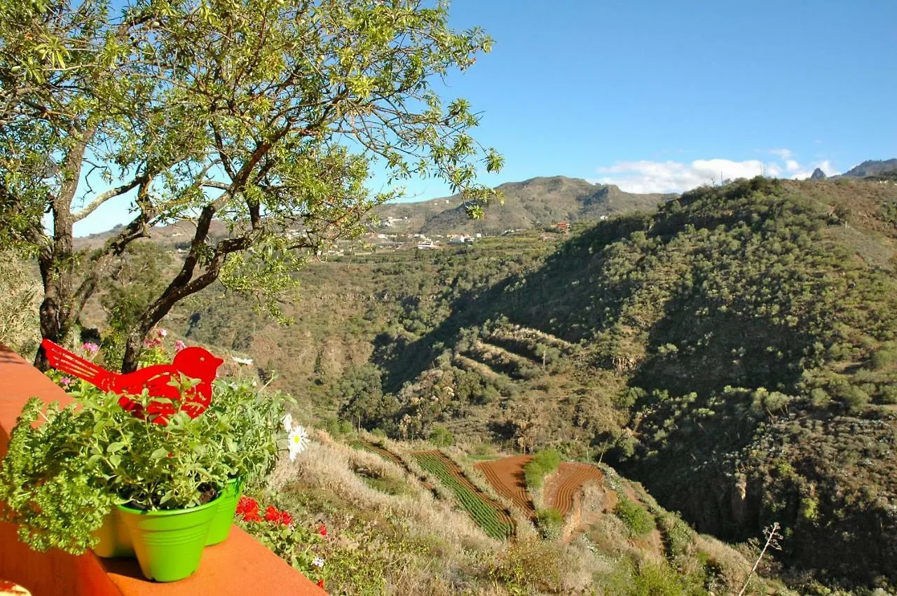 Tres Almendros By I N Z U L A E Villa Vega de San Mateo Spain